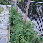 Appartement Filyra