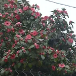 شقة Filyra *