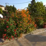 شقة Filyra *