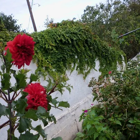 Filyra Appartement *