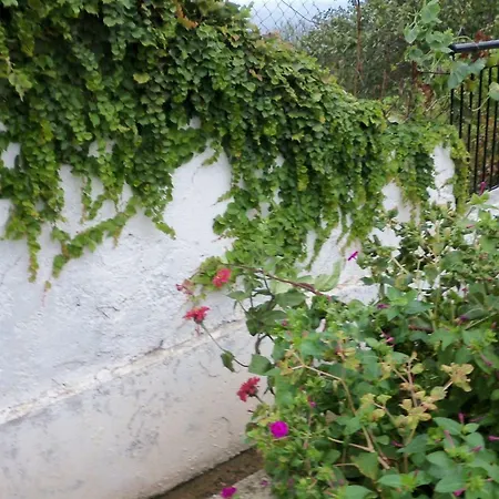 Filyra Appartement Pélion