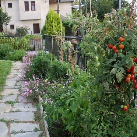 Filyra Appartement *