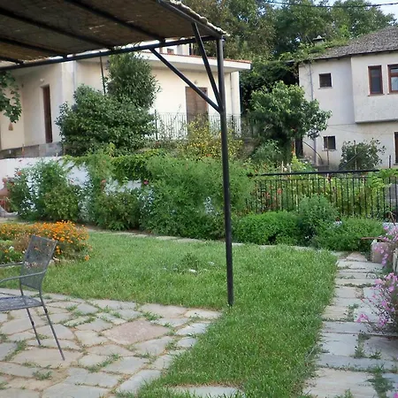 Filyra Pélion