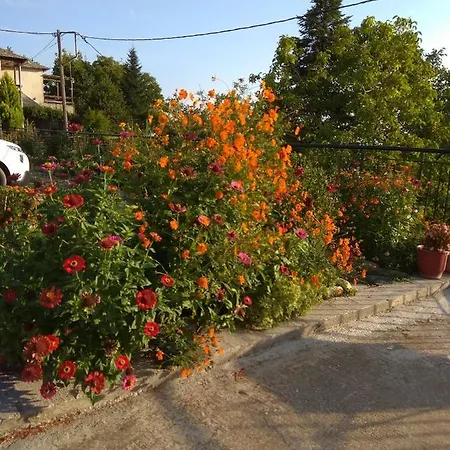 Appartement Filyra *