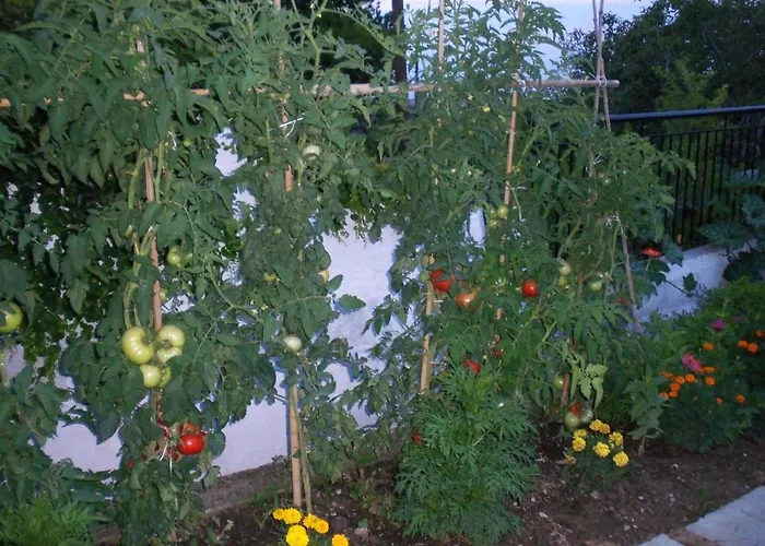 Filyra Appartement *