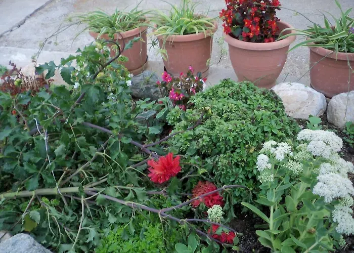 아파트 Filyra 필리온