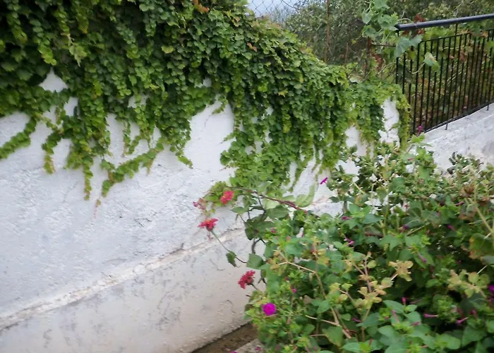 Filyra 아파트 필리온