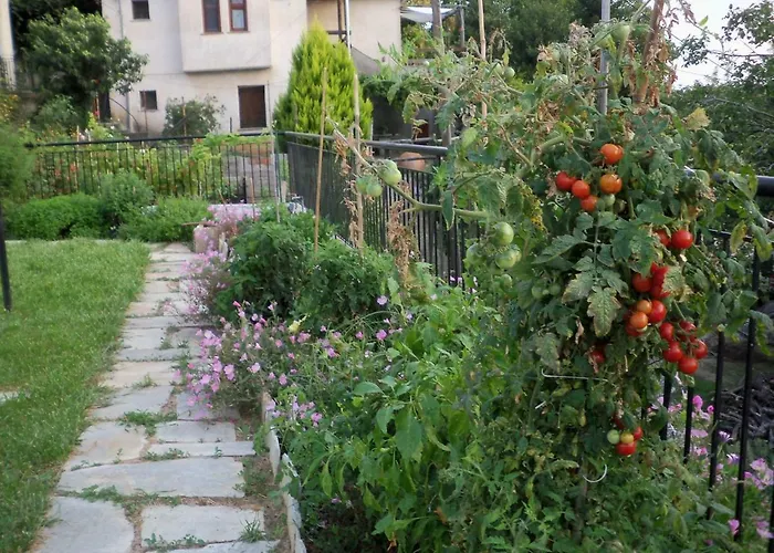 Filyra Appartement *