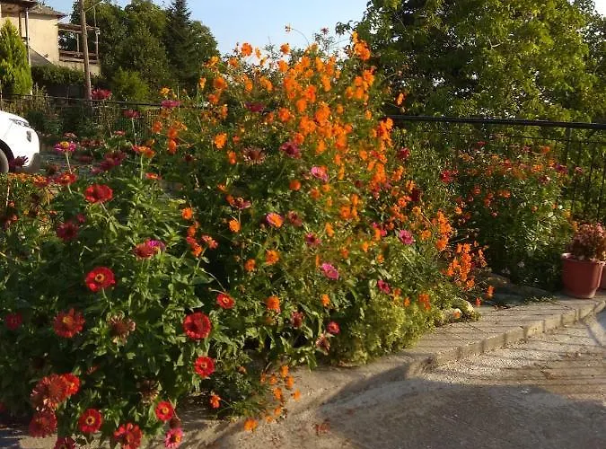 Appartement Filyra *